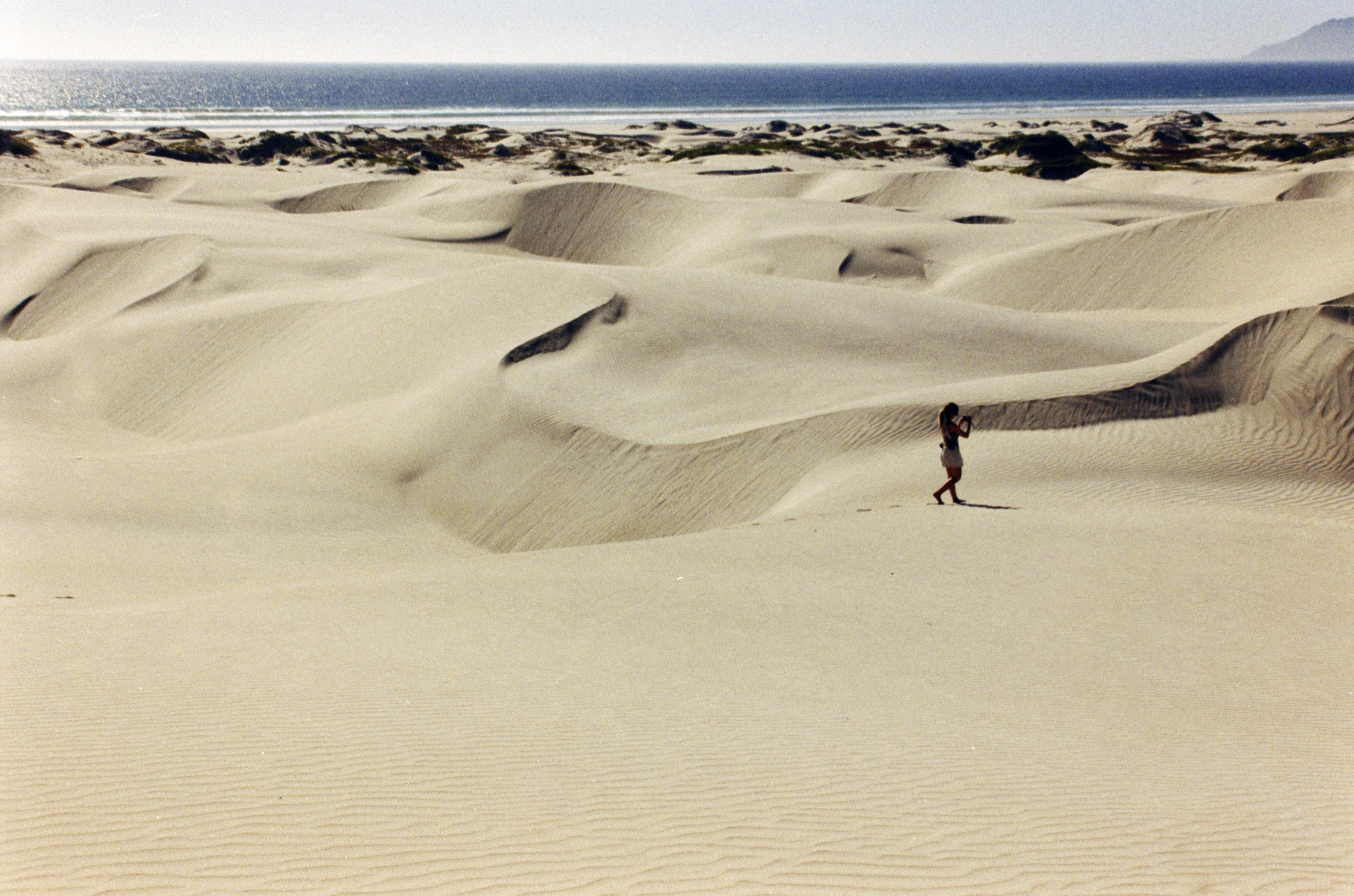 Bahia de Magdalena (2026)